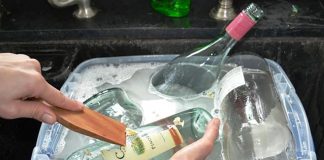 Instead Of Throwing Away Bottles – She Transforms Them Into Something I Want To Have