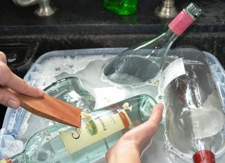 Instead Of Throwing Away Bottles – She Transforms Them Into Something I Want To Have