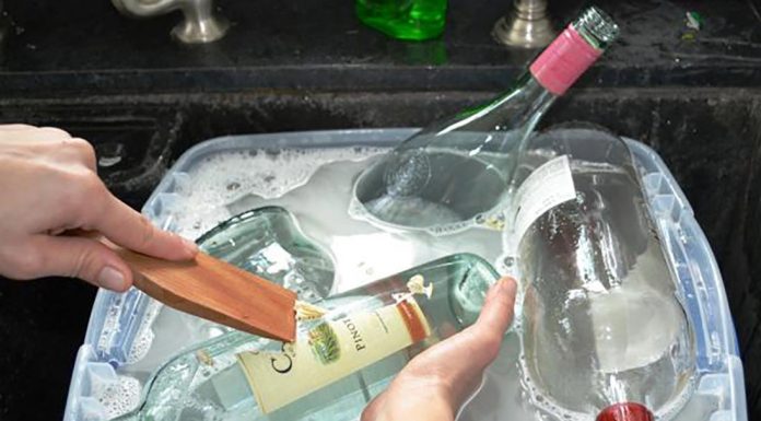 Instead Of Throwing Away Bottles – She Transforms Them Into Something I Want To Have