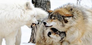 30 wonderful photos that are sure to touch your heart