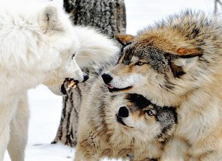 30 wonderful photos that are sure to touch your heart