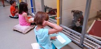 Children Read Books To Traumatized Shelter Dogs To Help Rehabilitate Them