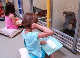 Children Read Books To Traumatized Shelter Dogs To Help Rehabilitate Them
