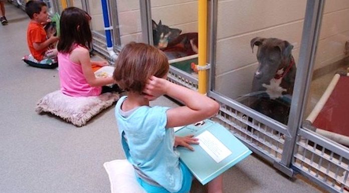 Children Read Books To Traumatized Shelter Dogs To Help Rehabilitate Them