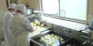 They Put Cameras Inside A School Cafeteria. What The Lunch Ladies Do? It’s Going Viral…