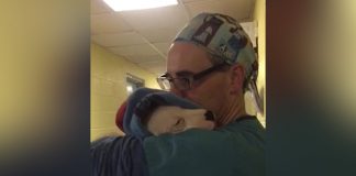 Vet Shows True Compassion When He Rocks Puppy Like A Baby To Calm Her After Surgery.