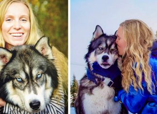 Woman Rescues Husky Puppy, Then He Saves Her From An Abusive Relationship