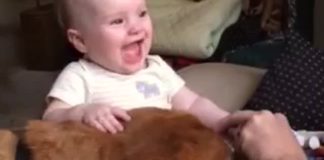 Dog makes baby laugh hysterically