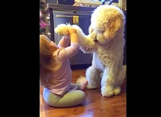 Dad caught her teaching the dog a trick, leaving him with a memory he’ll never forget.