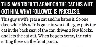 Man Tries To Abandon Wife’s Cat. What Followed Is Priceless.