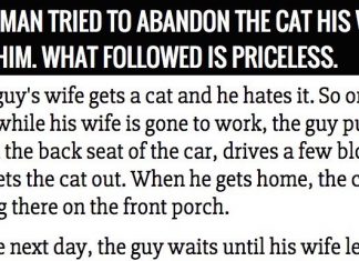 Man Tries To Abandon Wife’s Cat. What Followed Is Priceless.