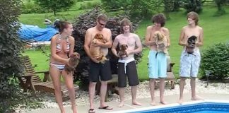 They Line Up For A Race, Now Keep Your Eye On The Dog On The Left