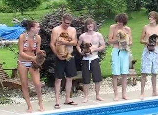 They Line Up For A Race, Now Keep Your Eye On The Dog On The Left