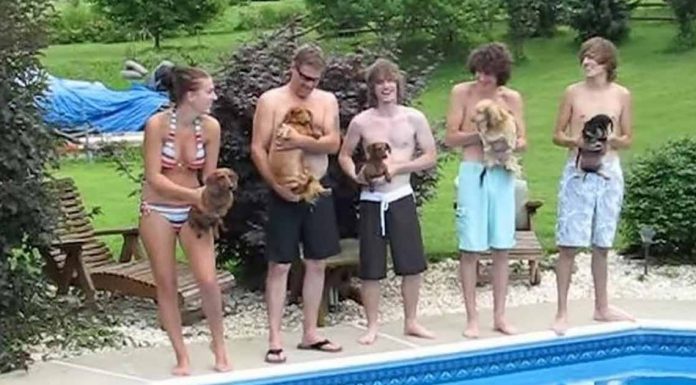 They Line Up For A Race, Now Keep Your Eye On The Dog On The Left