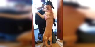 Dad’s Been Gone For 2 Months. But When He Walks Through The Door? Look At Her Little Face!