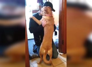 Dad’s Been Gone For 2 Months. But When He Walks Through The Door? Look At Her Little Face!