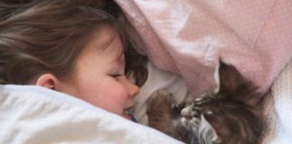 How Thula The Cat Helps A Girl With Autism Live Life More Fully