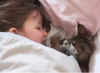 How Thula The Cat Helps A Girl With Autism Live Life More Fully