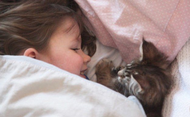 How Thula The Cat Helps A Girl With Autism Live Life More Fully