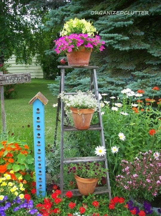 how-to-add-vertical-interest-to-your-flower-beds-containers-container-gardening-flowers-gardening