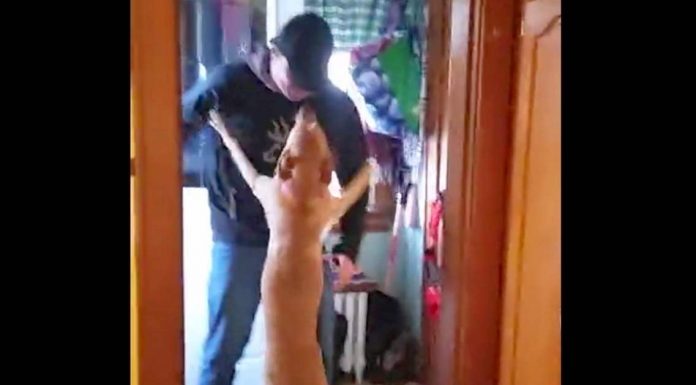 Her Owner Was Gone For 2 Months – How This Dog Welcomes Him Back Had Me Tearing Up