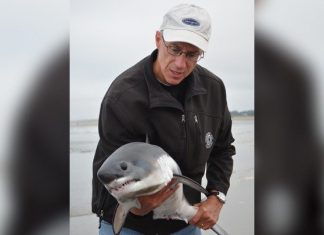 Instead Of Taking A Selfie With This Shark, He Saved Him