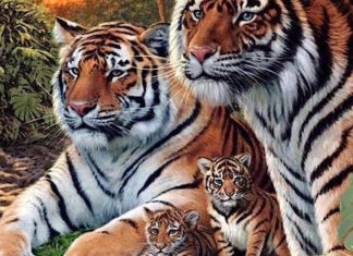 I Only Saw 4 Tigers In This Painting, Then I Noticed THESE Staring Out…
