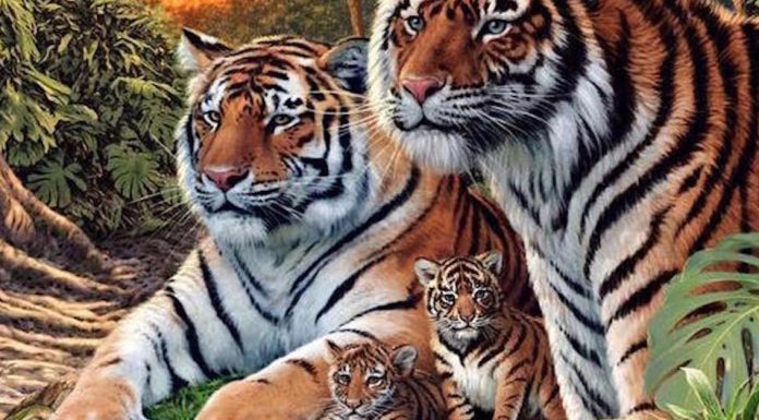 I Only Saw 4 Tigers In This Painting, Then I Noticed THESE Staring Out…