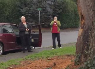 City Tells Woman to Cut Down Her 110-Year-Old Tree, So She Does THIS Instead!