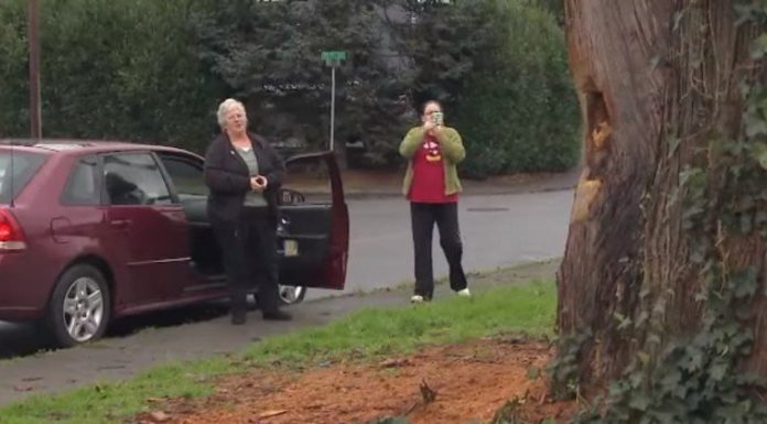 City Tells Woman to Cut Down Her 110-Year-Old Tree, So She Does THIS Instead!
