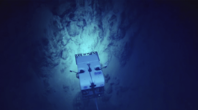 They Dropped A Camera Into The Sea. Now Watch It Record Something Never Seen Before