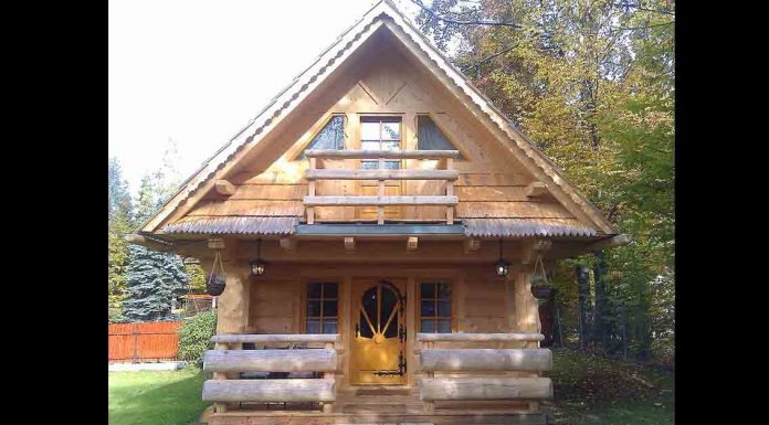 This Cabin Is Only 256 Square Feet. But The Inside Is So Luxurious – I Would Love To Live There!