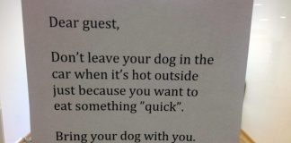 Restaurant’s Brilliant Sign Praised By Thousands Of Animal Friends All Over The World.