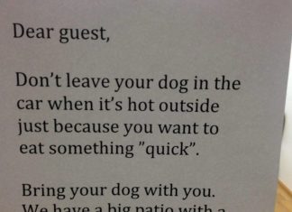 Restaurant’s Brilliant Sign Praised By Thousands Of Animal Friends All Over The World.