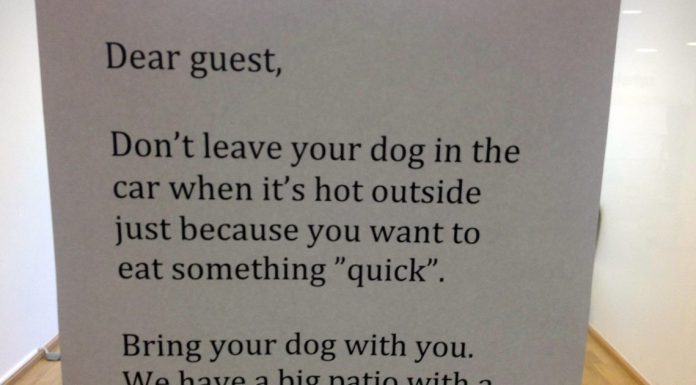 Restaurant’s Brilliant Sign Praised By Thousands Of Animal Friends All Over The World.