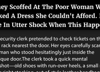 They Scoffed At The Poor Woman Who Liked A Dress She Couldn’t Afford. But Were In Utter Shock When This Happened.