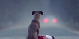 ’The Gift’: the video that made our hearts skip a beat