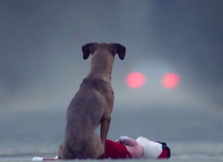 ’The Gift’: the video that made our hearts skip a beat