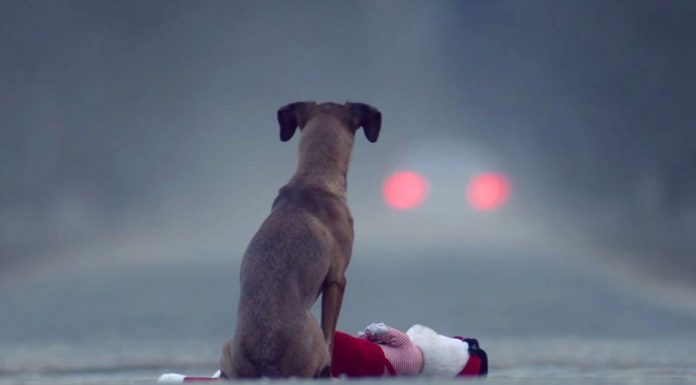 ’The Gift’: the video that made our hearts skip a beat