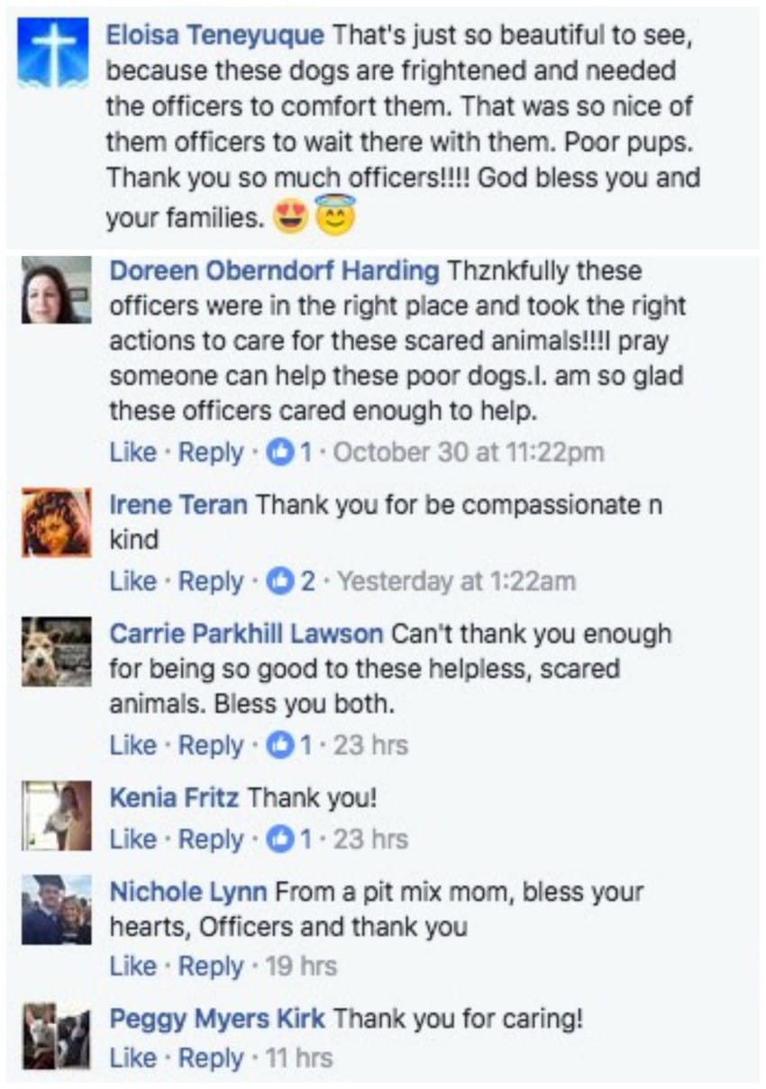 Facebook / Orange County Sheriff's Office, Florida