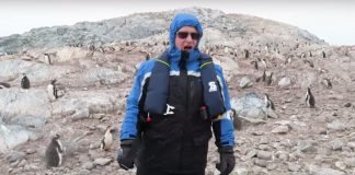 Can You Guess What The Penguins Do When He Starts To Sing?