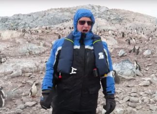 Can You Guess What The Penguins Do When He Starts To Sing?