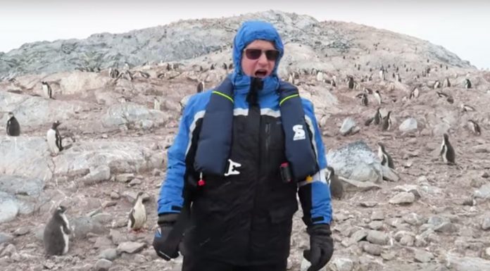 Can You Guess What The Penguins Do When He Starts To Sing?