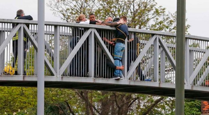 A Community Group Together To Try And Save This Jumper…