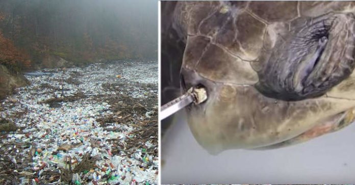 Plastic Pollution Accidental Super Enzyme Eats Dangerous Plastic 00